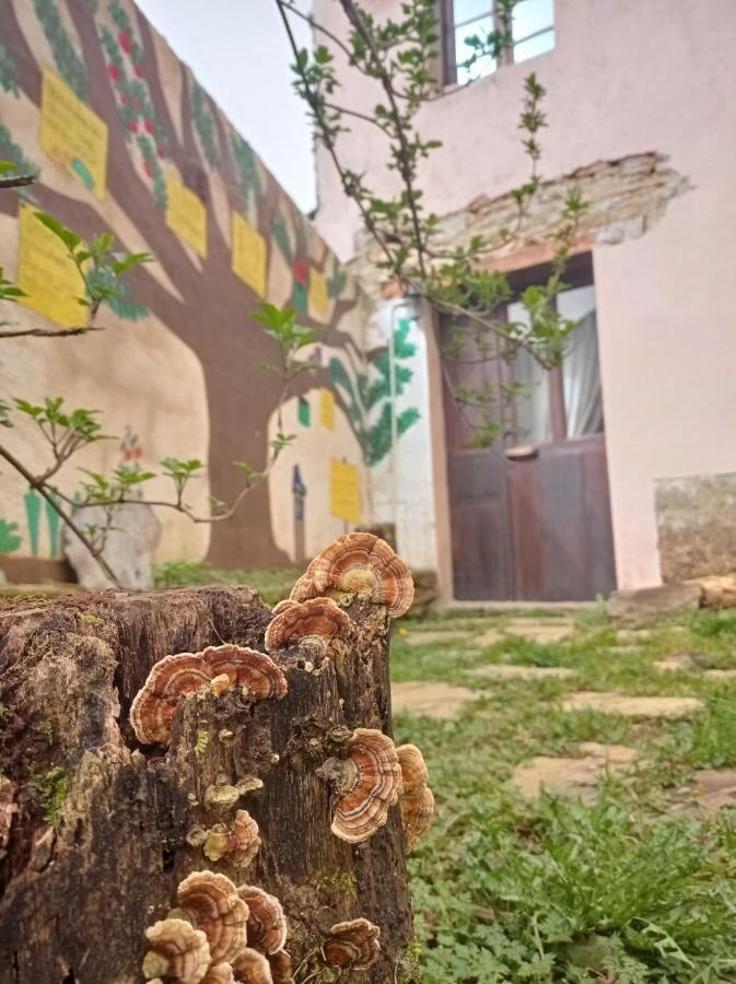 Albergue Eco El Beso - Vegano Triacastela Bagian luar foto